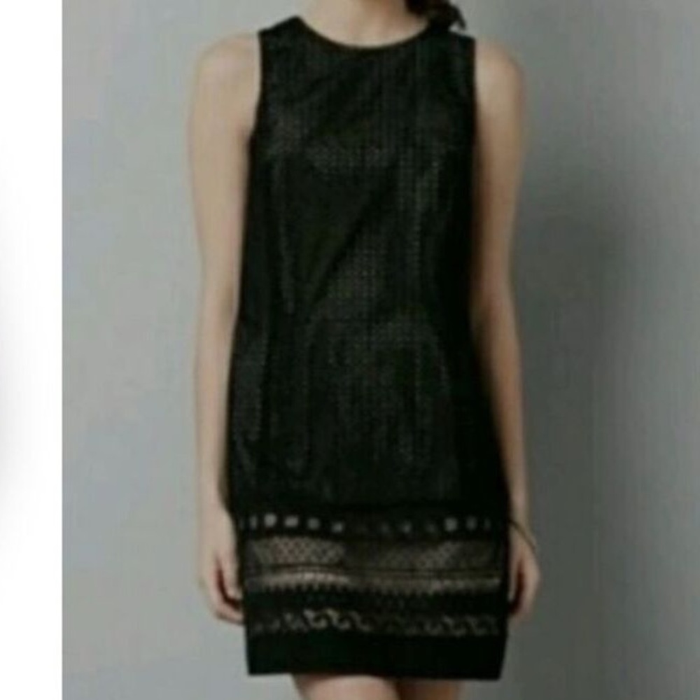LOFT Ann Taylor Beige Black Eyelet Lace Shift Dress 4 NWT